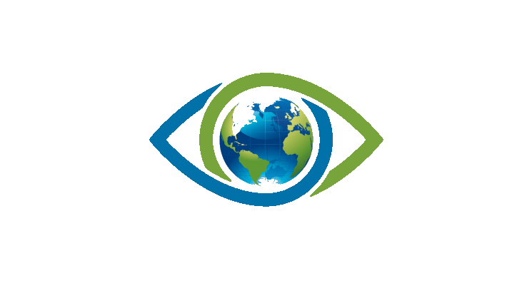 Strategic Ethical Expert Solutions (SEES) LLC